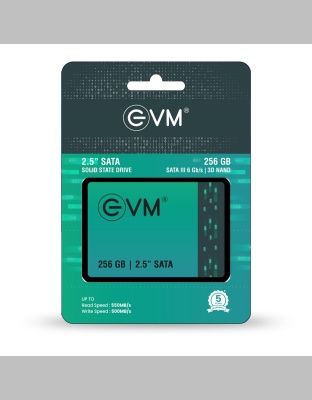 EVM 256GB 2.5 Inch SATA SSD EVM25/256GB